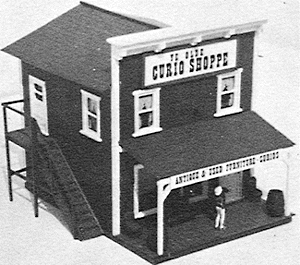 Curio Shop