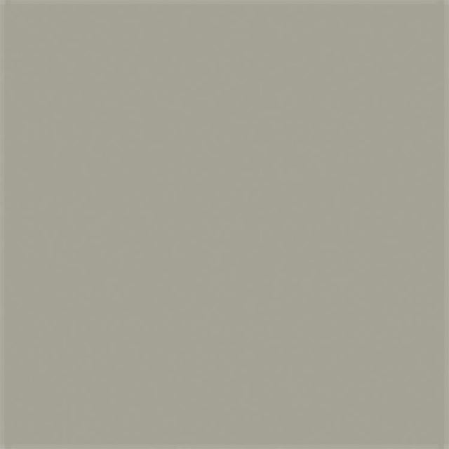 All-Purpose Enamel Spray Paint - 3oz  88.7mL Can -- Dark Aircraft Gray