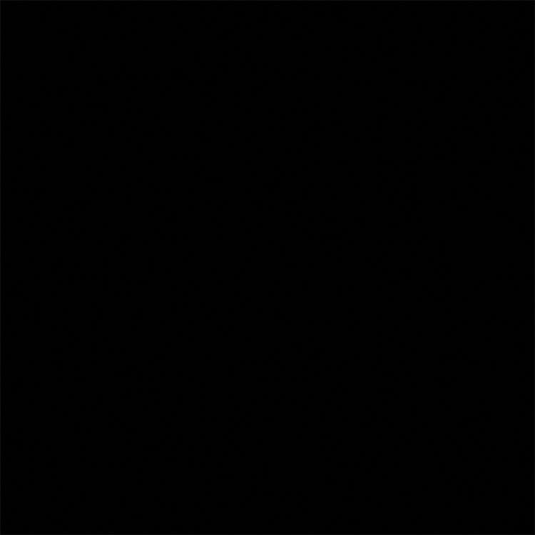 Model Master(R) - Automotive Enamel Paints - 1/2oz  14.8mL - Bottle -- Classic Black (Gloss)