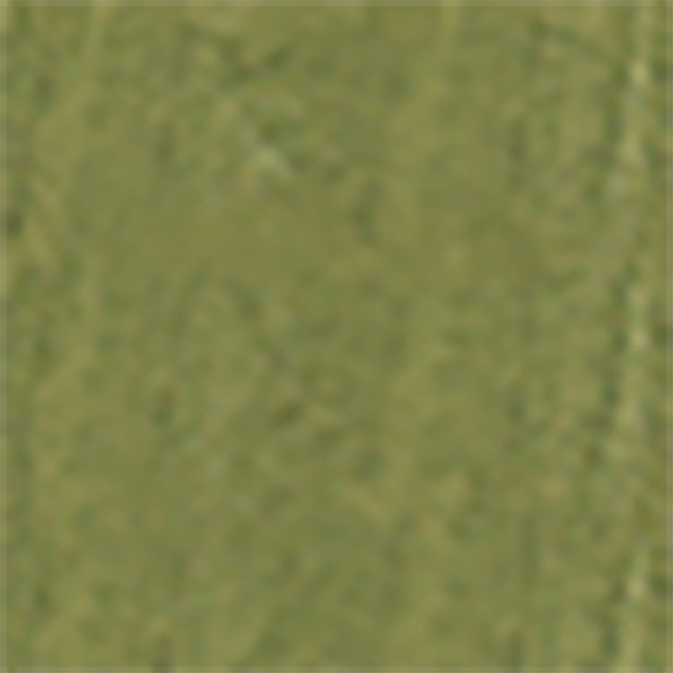 CreateFX(R) Acrylic Wood-Color Washes - 1oz  29.6mL - Bottle -- Olive Green
