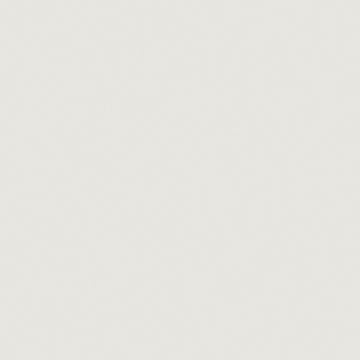 Military Acrylic Color - 1oz 29.6ml -- FS-36440: Light Gull Gray
