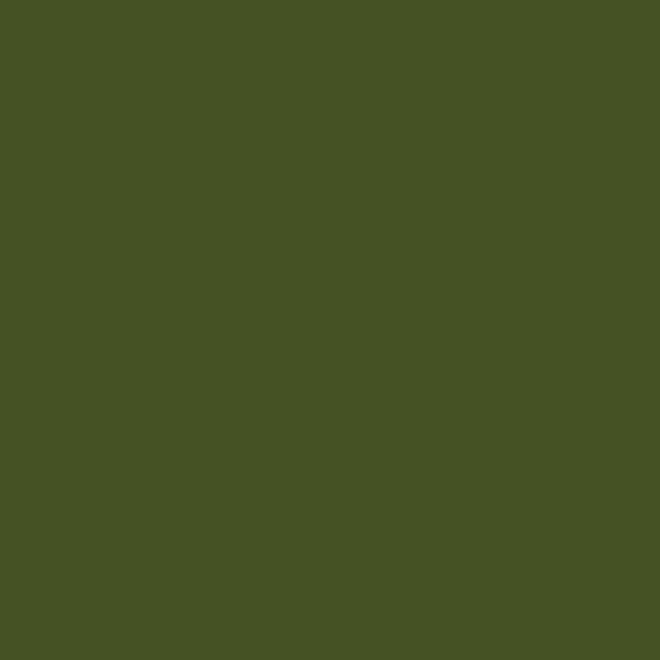 Military Acrylic Colors - 1oz  29.6mL -- (FS 34102) Light Green (for Southeast Asia Camouflage)