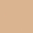 Military Acrylic Color - 1oz 29.6ml -- FS-30279: Sand