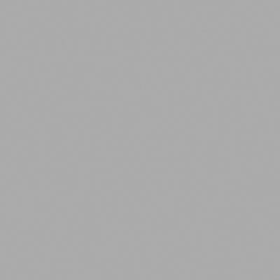 Railroad Color Acrylic Paints - 2oz  59.1mL -- Weathered Concrete - Aged Concrete (Flat)