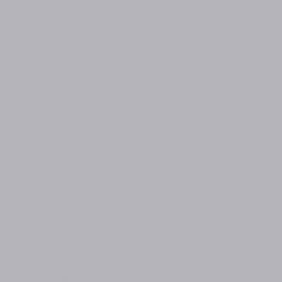 Railroad Color Acrylic Paints - 2oz  59.1mL -- Platinum Mist (Flat)