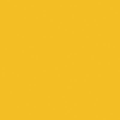 Railroad Color Acrylic Paints - 2oz  59.1mL -- Safety Yellow