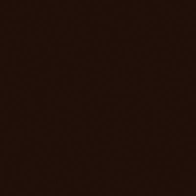 Railroad Color Acrylic Paints - 2oz  59.1mL -- Seaboard Coast Line Jolly Green