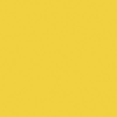 Railroad Color Acrylic Paints - 2oz  59.1mL -- Florida East Coast Modern Yellow
