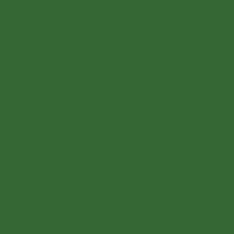 Metallic Acrylic Paints - 2oz  59.1mL -- Medium Green