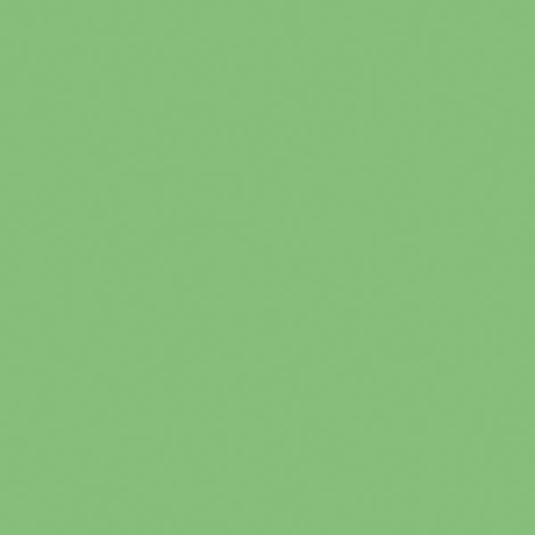 Railroad Color Acrylic Paints - 1oz  29.6mL -- Seaboard Air Line Mint Green