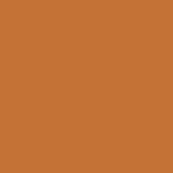 Railroad Color Acrylic Paints - 1oz  29.6mL -- Canadian National Yellow