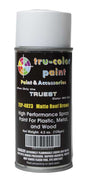 Aerosol Spray Paint 4.5oz 135ml Can -- Matte Roof Brown