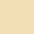 Sprayable Matte Paints - 1oz  29.6mL -- Cream Stucco