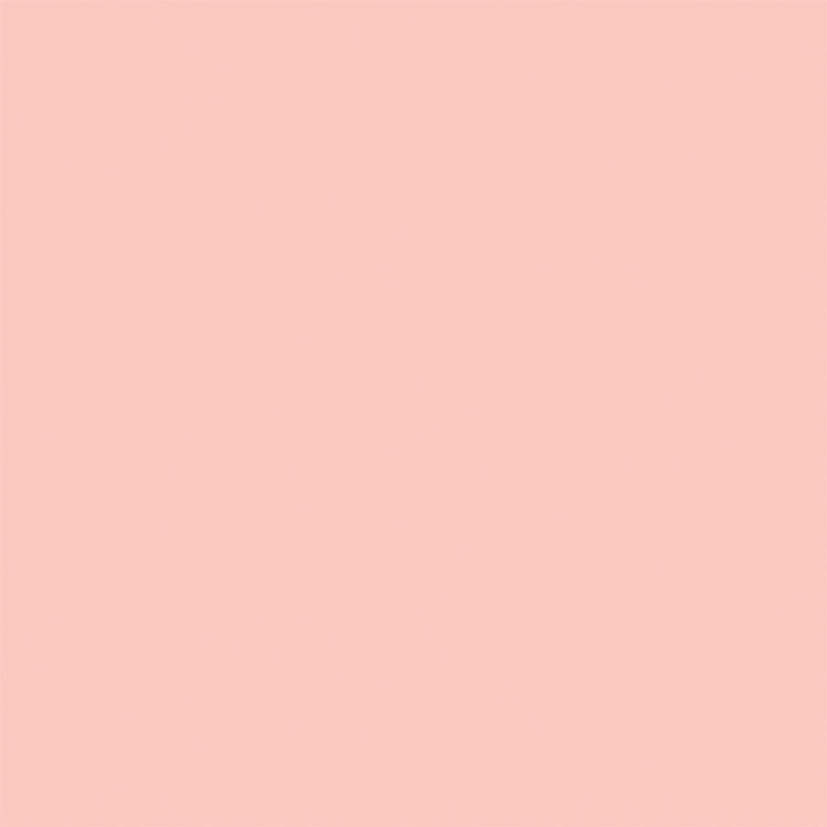 Sprayable Matte Paints - 1oz  29.6mL -- Rose Stucco