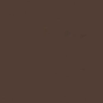Sprayable Matte Paints - 1oz  29.6mL -- Light Brown Tree Bark