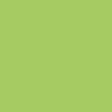 Sprayable Matte Paints - 1oz  29.6mL -- Roof Lime Green