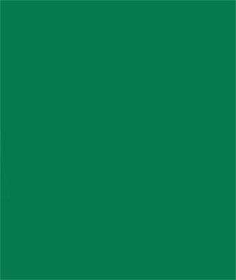 Sprayable Matte Paints - 1oz  29.6mL -- Exterior Wall - Mexican Jade-2