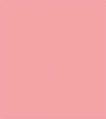 Sprayable Matte Paints - 1oz  29.6mL -- Exterior Wall - Salmon Pink
