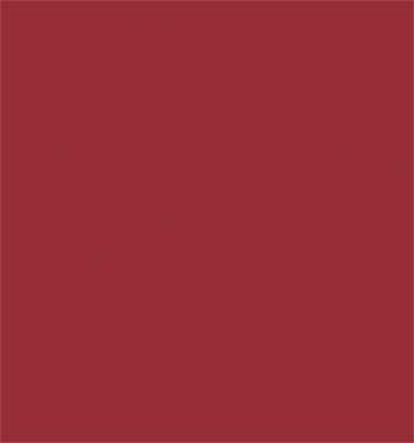Sprayable Matte Paints - 1oz  29.6ml -- Generic Rust