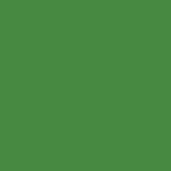Automotive Color High-Gloss Acrylic Paints - 1oz  29.6mL -- Sublime Green