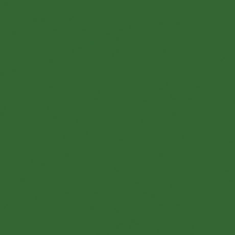 Automotive Color High-Gloss Acrylic Paints - 1oz  29.6mL -- Sassy Grass Green