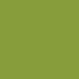 Automotive Color High-Gloss Acrylic Paints - 1oz  29.6mL -- Nitro Yellow Green