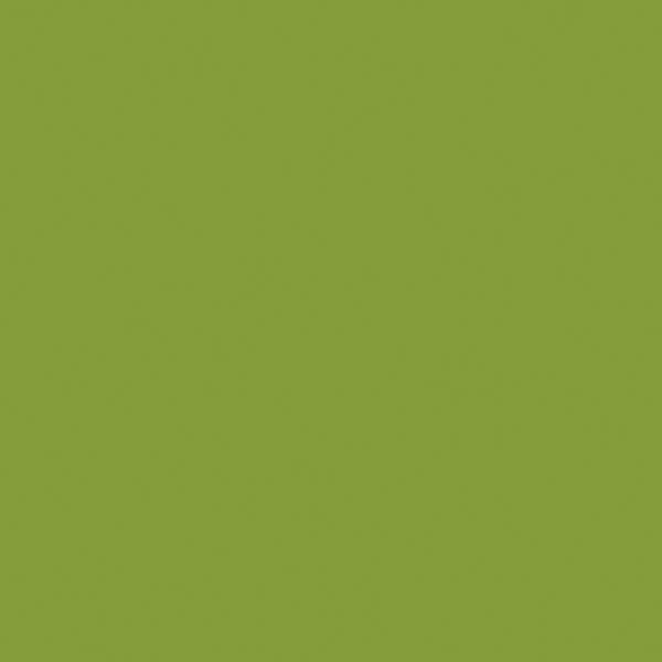 Automotive Color High-Gloss Acrylic Paints - 1oz  29.6mL -- Nitro Yellow Green