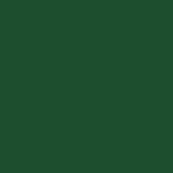 Railroad Color Acrylic Paints - 1oz  29.6mL -- Railway Express Agency Green