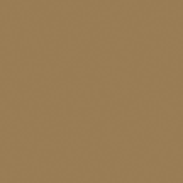 Flat Brushable Color Acrylic Paints - 1oz  29.6mL -- Dark Tan