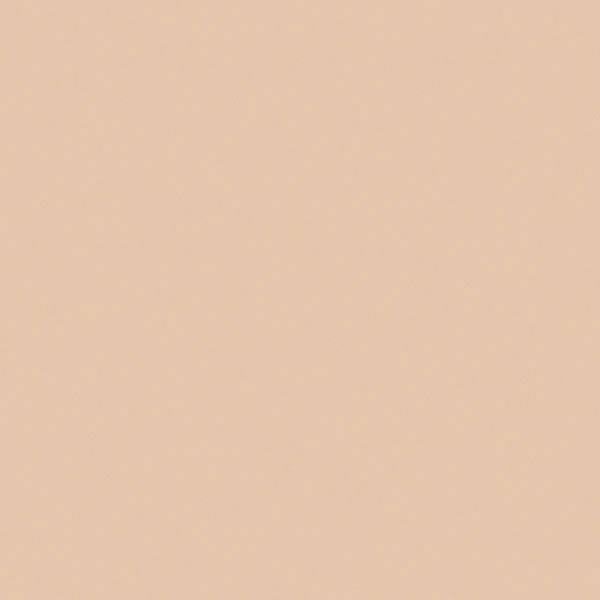 Flat Brushable Color Acrylic Paints - 1oz  29.6mL -- Sand
