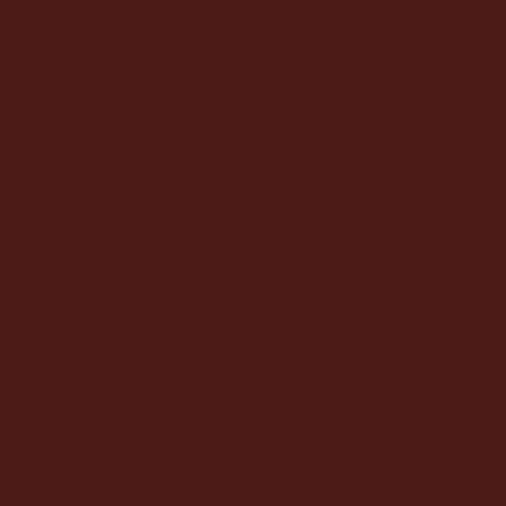 Flat Brushable Color Acrylic Paints - 2oz  59.1mL -- Rail Brown