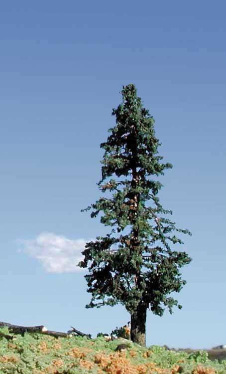 Blue Spruce Pine Trees -- 4 - 6"  10.2 - 15.2cm pkg(5)