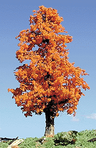 Trees -- Deciduous 3-5" October Orange