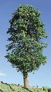 Trees -- Deciduous 3-5" Lemon