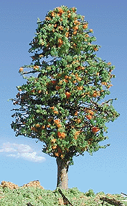 Trees -- Deciduous 3-5" Orange