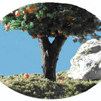 Trees -- Deciduous 6-9" Orange