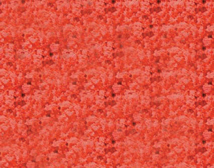 Medium Foliage 20 cu in Bag -- Indian Paint Brush