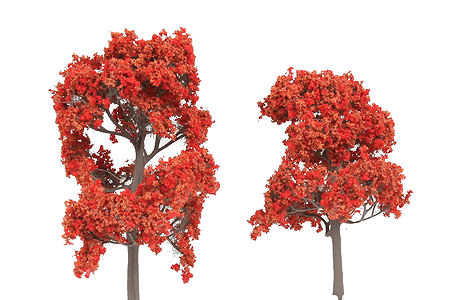 ForeGround(TM) Tree pkg(6) -- Fall Fiesta Red