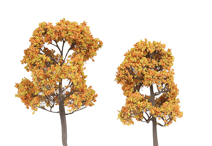 ForeGround(TM) Tree pkg(6) -- Fall Fiesta Ocher