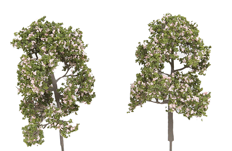 ForeGround(TM) Tree pkg(6) -- Spring Blossom Pink