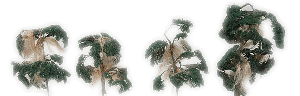 Swamp Thing Cypress -- pkg(6)