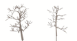 ForeGround(TM) Tree pkg(6) -- Winter Slumber