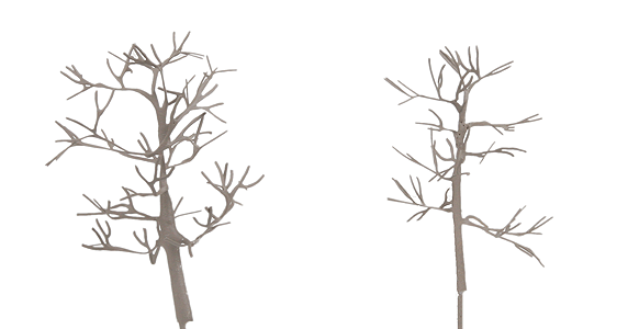 ForeGround(TM) Tree pkg(6) -- Winter Slumber