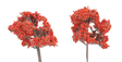 ForeGround(TM) Tree pkg(6) -- Fall Fiesta Red
