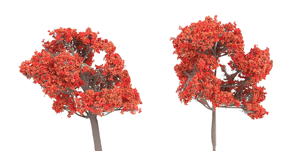 ForeGround(TM) Tree pkg(6) -- Fall Fiesta Red