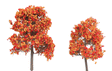 ForeGround(TM) Tree pkg(6) -- Fall Fiesta Orange