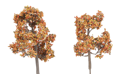 ForeGround(TM) Tree pkg(6) -- Fall Fiesta Russet