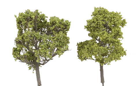 ForeGround(TM) Tree pkg(6) -- New Growth