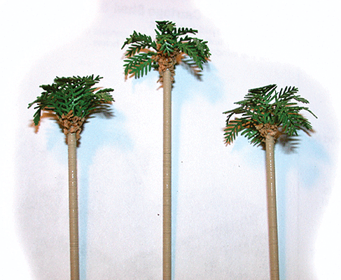 Palm Spring Palms -- pkg(6)