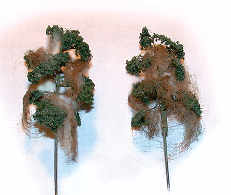 Swamp Thing Cypress -- pkg(6)